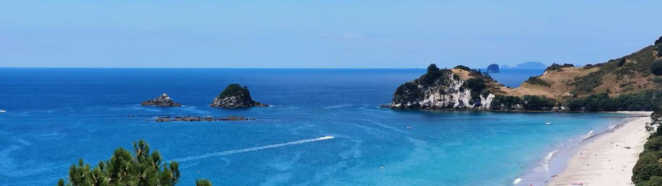 Aerial shot of a Coromandel Beach.