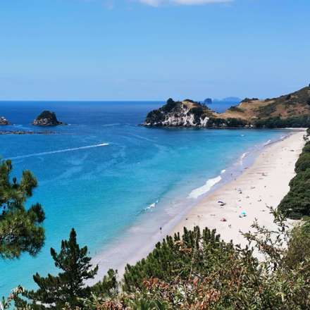 Aerial shot of a Coromandel Beach.