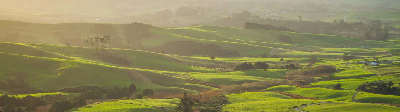 Landscape view of green meadows. 