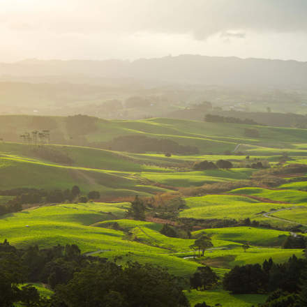 Landscape view of green meadows. 