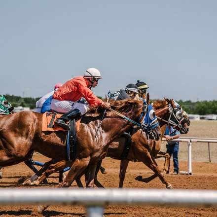 Horses in a race.