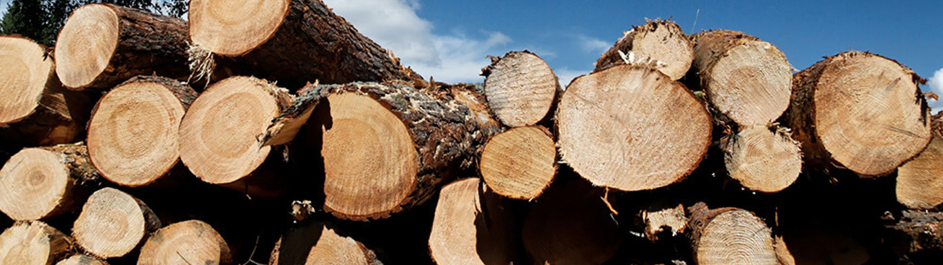 Tenon Manufacturing logs