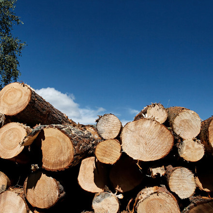 Tenon Manufacturing logs