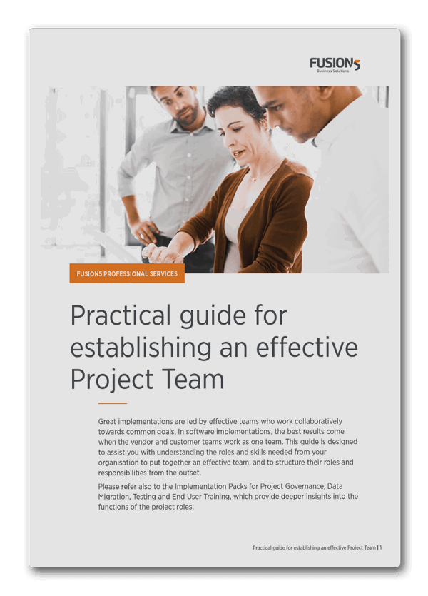 Mockup of the Fusion5 Professional Services Establishing Project Team