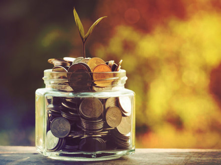 Coins in a glass jar with a little plant growing on top. 