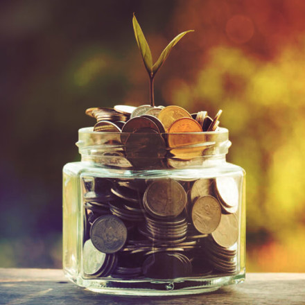 Coins in a glass jar with a little plant growing on top. 