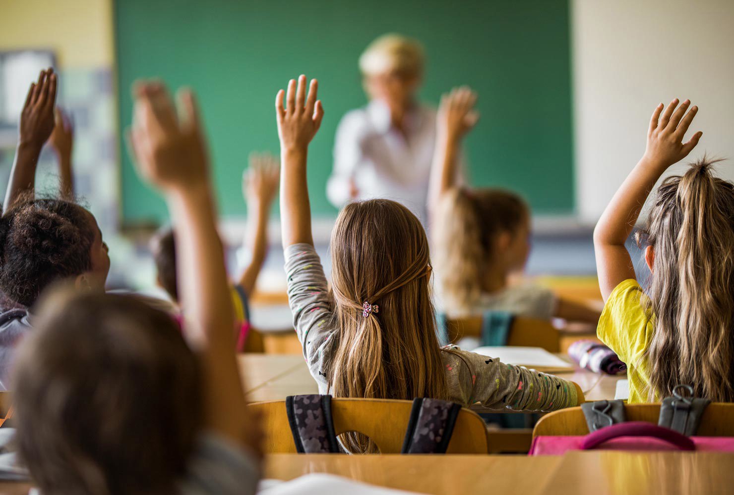 Back view of elementary students raising their arms on a class.