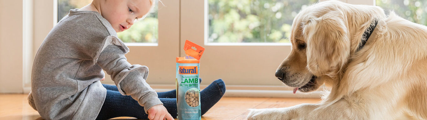 Toddler feeding his dog Natural Pet Foods. 