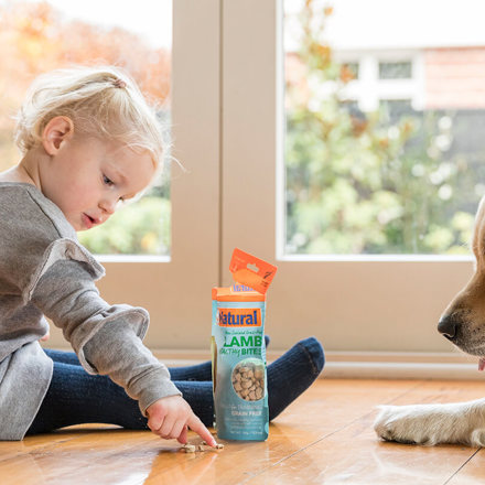 Toddler feeding his dog Natural Pet Foods. 