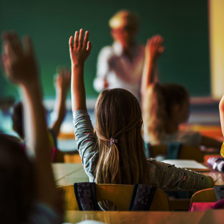 Back view of elementary students raising their arms on a class.