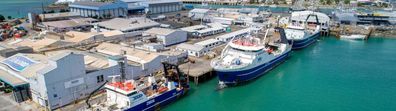 Sealord fishing vessels from the sky. 