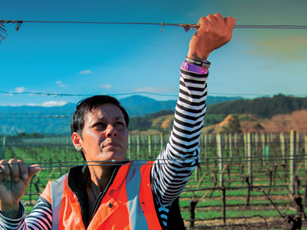 A person wearing an orange vest stands in a vineyard, adjusting a wire fence under a clear blue sky. There are mountains in the background and an artistic glowing effect near their hand.