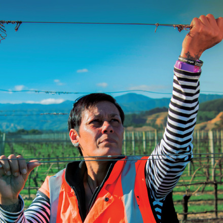 A person wearing an orange vest stands in a vineyard, adjusting a wire fence under a clear blue sky. There are mountains in the background and an artistic glowing effect near their hand.