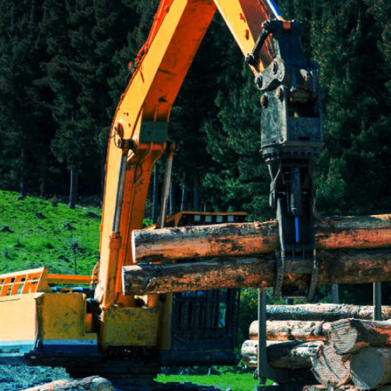 Forestry yellow digger grabbing two logs for processing.