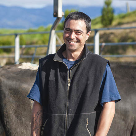 Te Pari farmer standing in front of his cattle. 