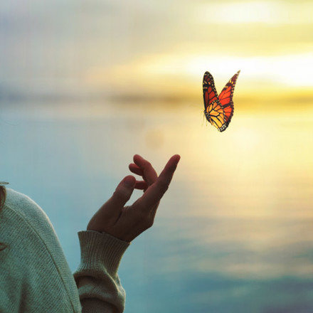 colourful butterfly is laying on a woman's hand