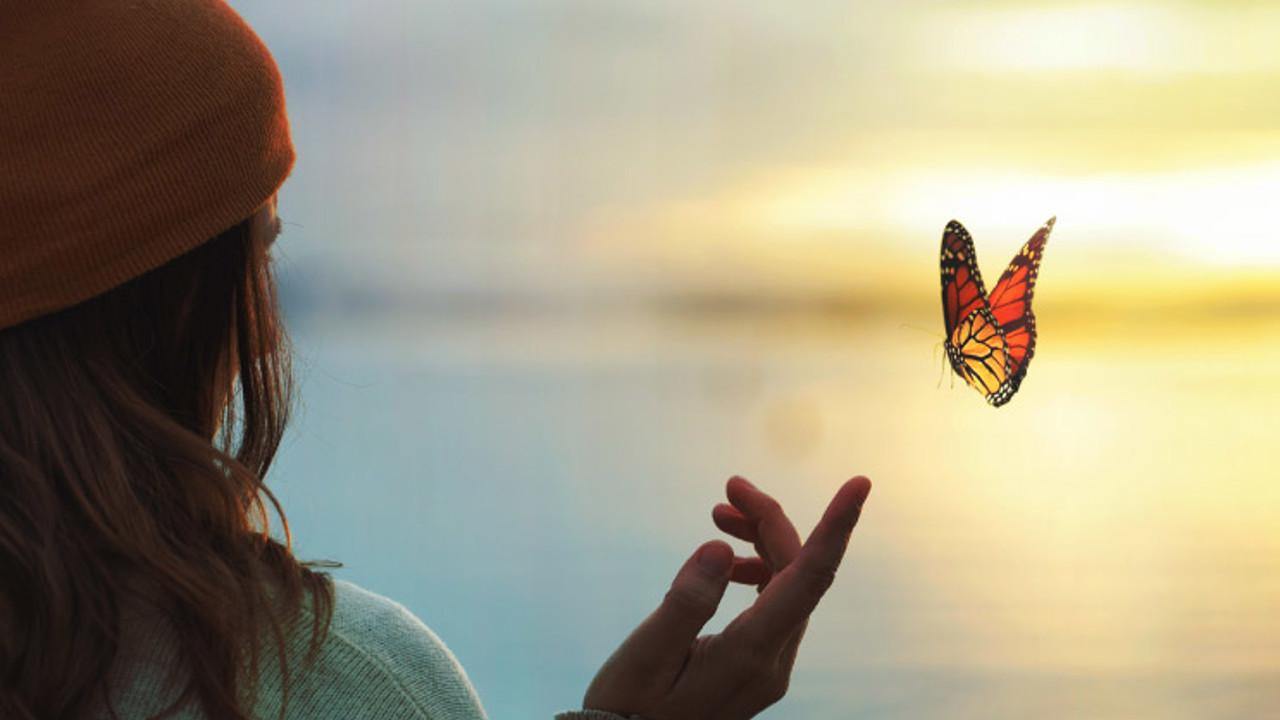 colourful butterfly is laying on a woman's hand