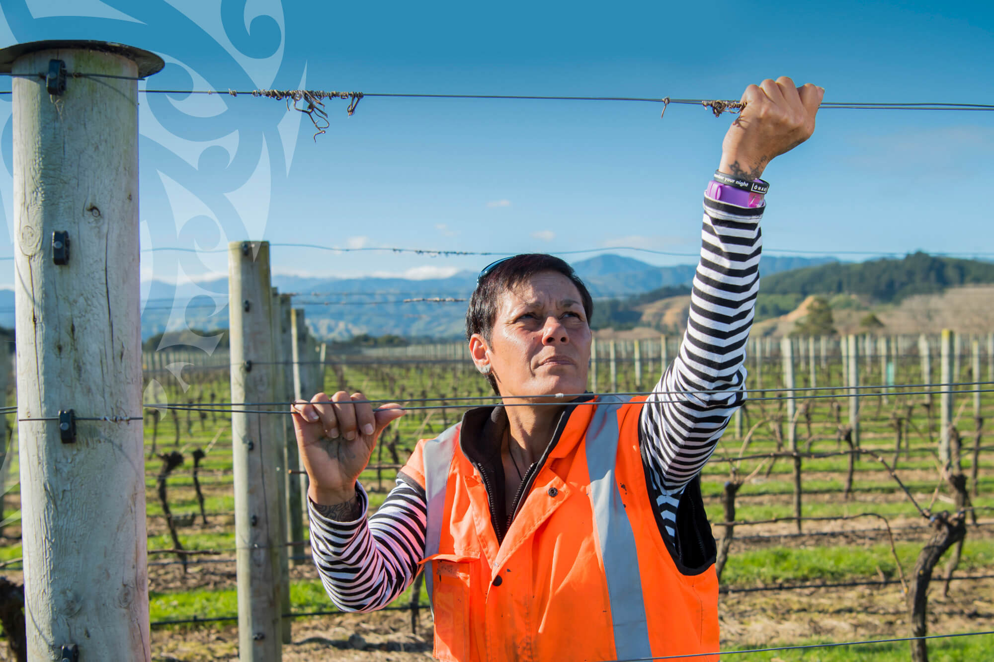 Te Pari farmer in high vix jacket inspecting her fence. 