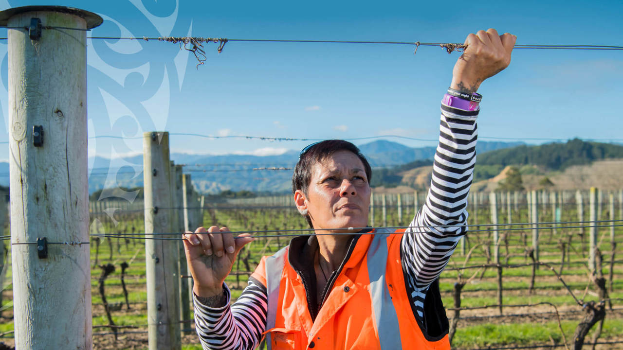 Te Pari farmer in high vix jacket inspecting her fence. 