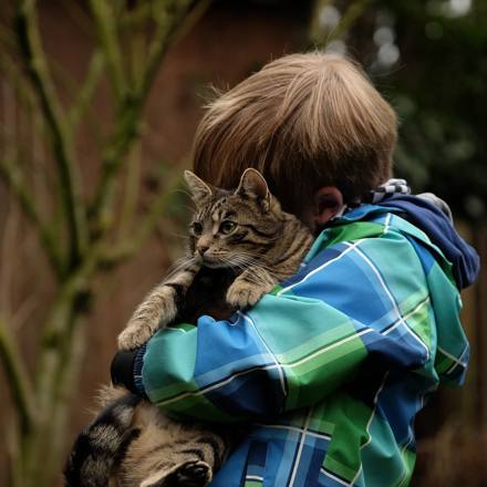 Boy hugging a tabby cat. 