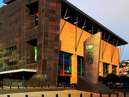 Te Papa Museum